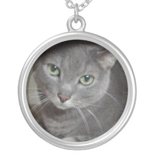 Gray Cat Russian Blue Silver Plated Necklace