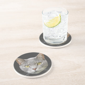Gray Cat Sandstone Coaster