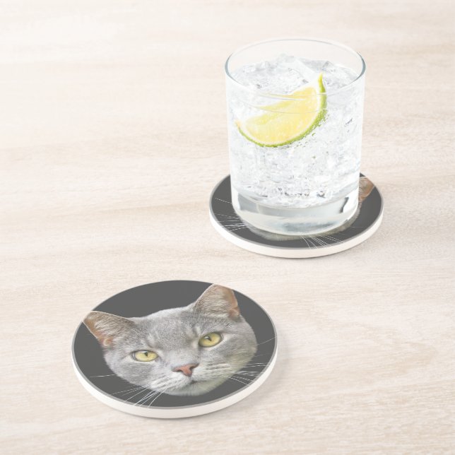 Gray Cat Sandstone Coaster (Side)