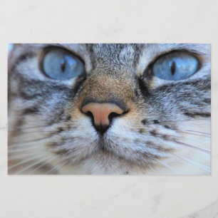 Gray Cat Stationery