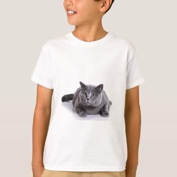 Gray Cat T-shirt by Theraven14 at Zazzle