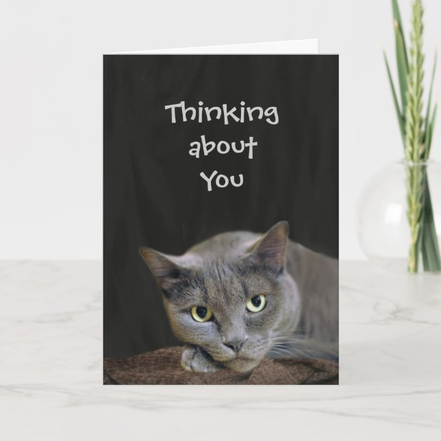 Gray cat thinking about you card (Front)