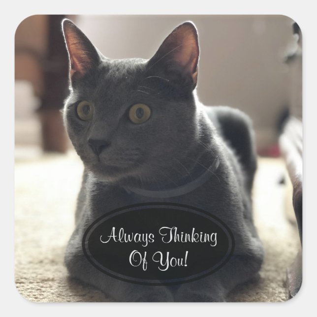 Gray Cat Thinking Of You Stickers (Front)