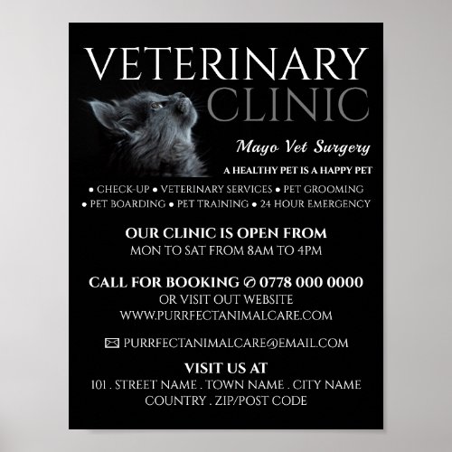 Gray Cat Veterinarian Veterinary Service Advert Poster