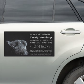 Gray Cat  Veterinarian  Veterinary Service Car Magnet by TheBusinessCardStore at Zazzle