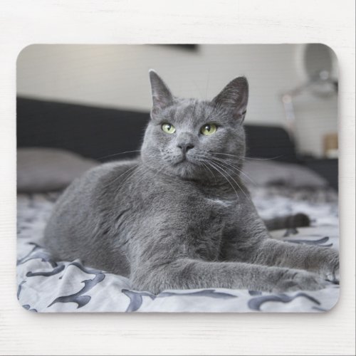 Gray Cat with Green Eyes Mouse Mat