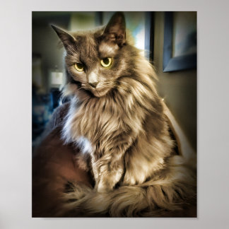 Gray Cat with Green Eyes Poster