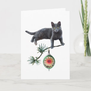 Gray Cat with Ornament Card