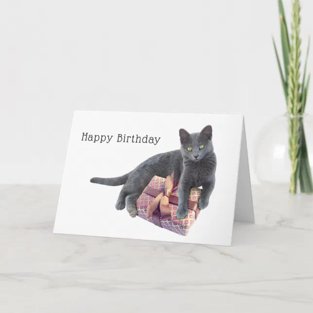 Gray Cat with Present Birthday Card | Zazzle