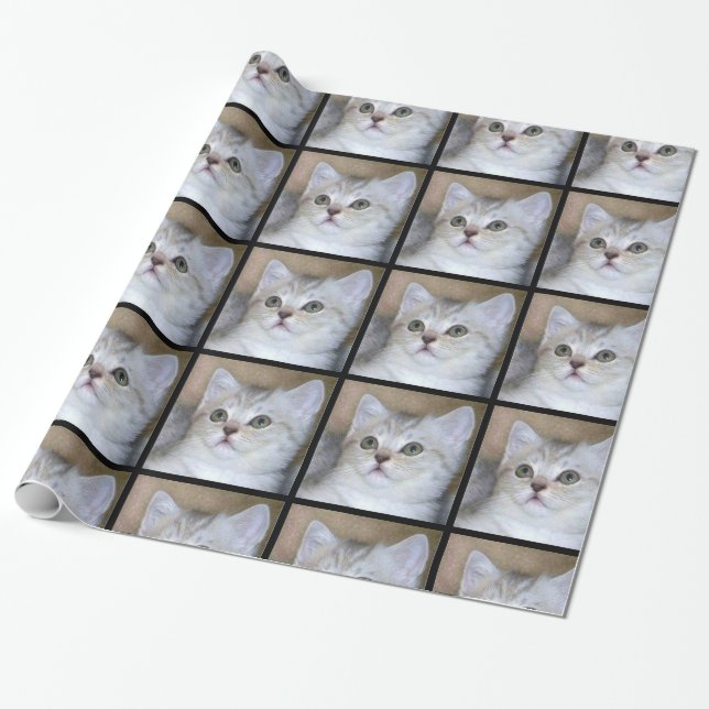 Gray  cat wrapping paper (Unrolled)