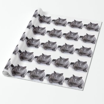 Gray Cat Wrapping Paper by Theraven14 at Zazzle