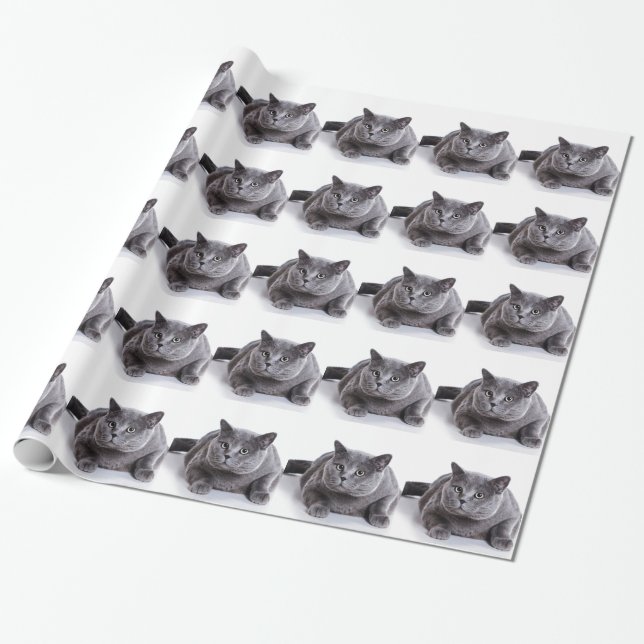 Gray Cat Wrapping Paper (Unrolled)