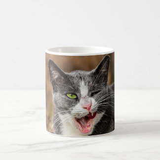 Gray Cat Yawning Coffee Mug