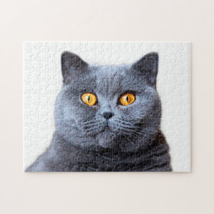 Gray cat yellow eyes jigsaw puzzle