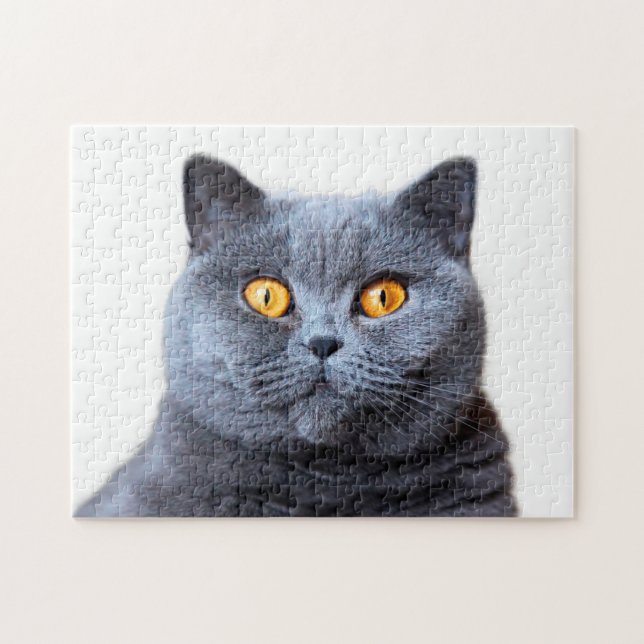 Gray cat yellow eyes jigsaw puzzle (Horizontal)