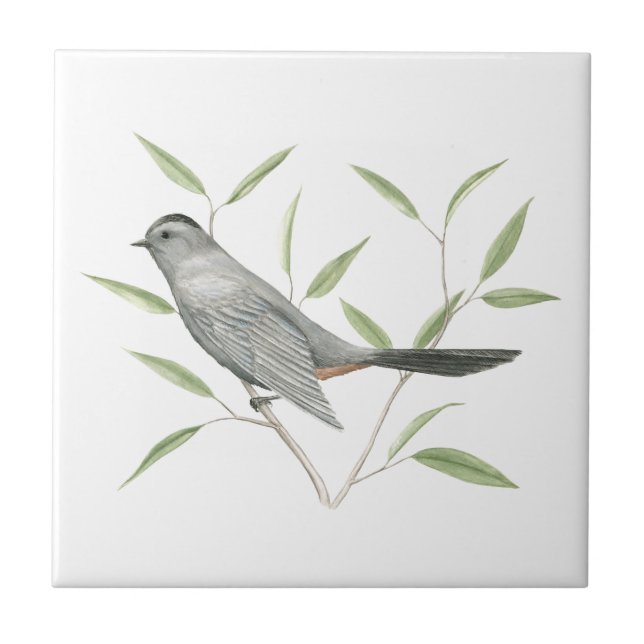 Gray Catbird Bird Art Ceramic Tile (Front)
