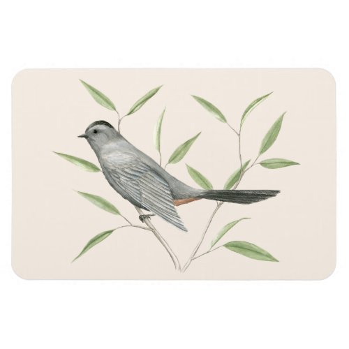 Gray Catbird Bird Art Flexi Magnet