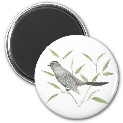 Gray Catbird Bird Art Magnet