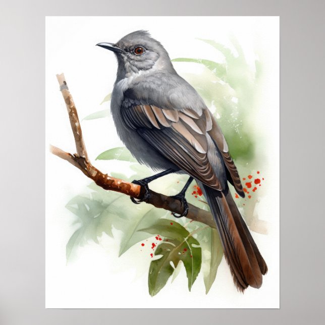 Gray Catbird Bird Art Print Poster (Front)
