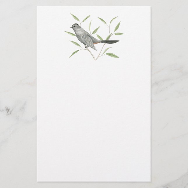 Gray Catbird Bird Art Stationery (Front)
