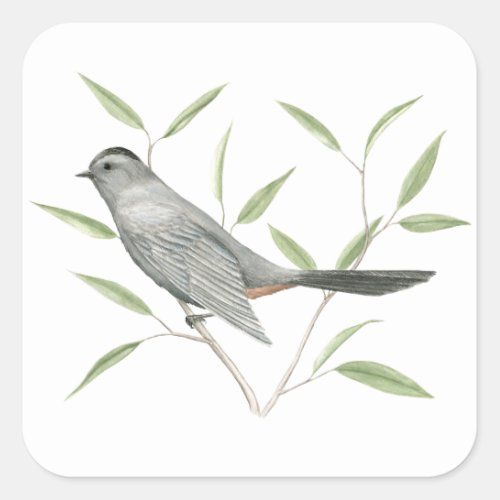 Gray Catbird Bird Art Sticker