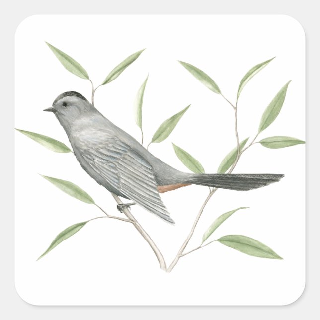Gray Catbird Bird Art Sticker (Front)