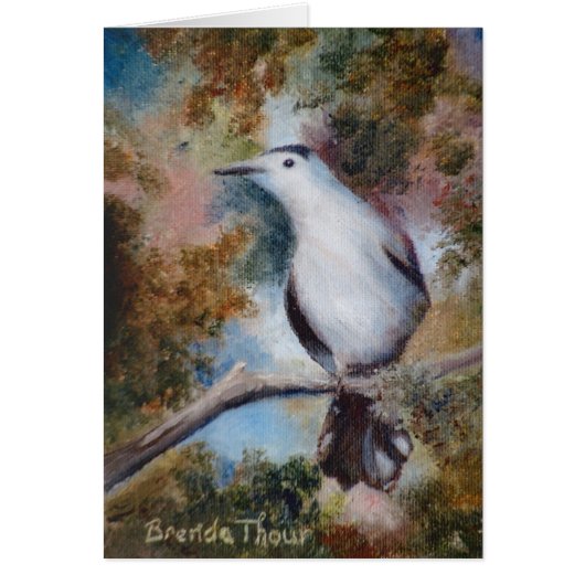 Gray Catbird Blank Card (Front)