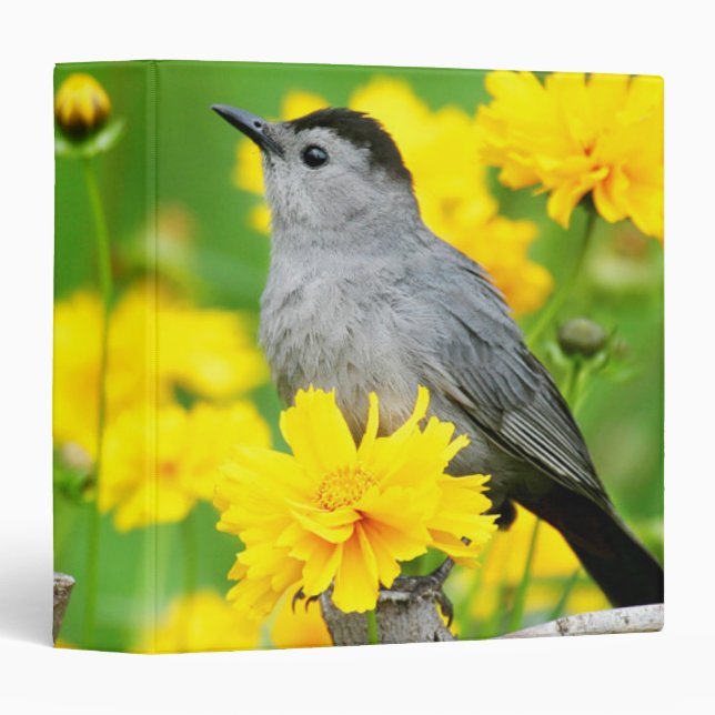 Gray Catbird on wooden fence 3 Ring Binder (Front/Spine)