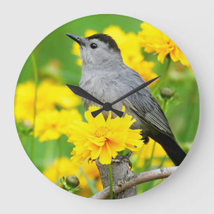 Gray Catbird on wooden fence Large Clock