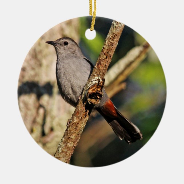Gray Catbird Ornament (Front)