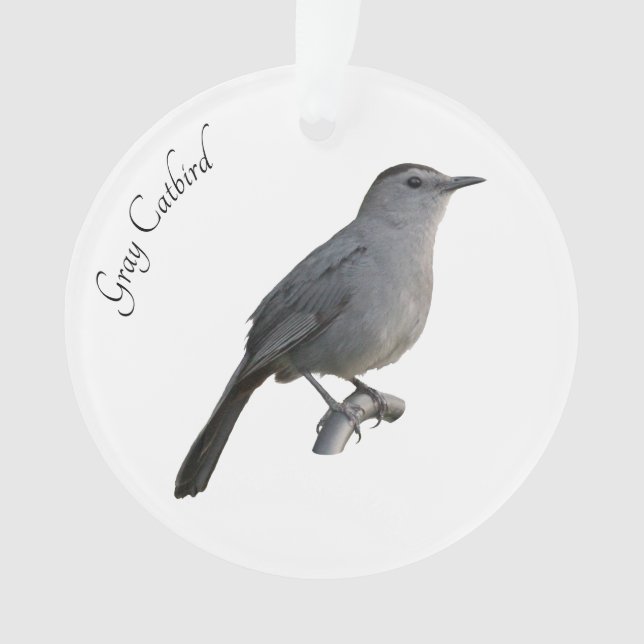 Gray Catbird Ornament (Front)