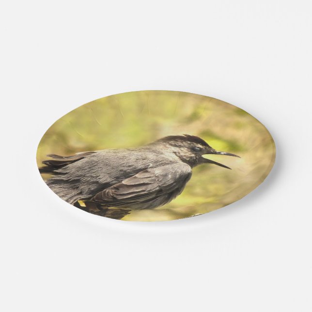 Gray Catbird Singing His Song Paper Plate (Angled)