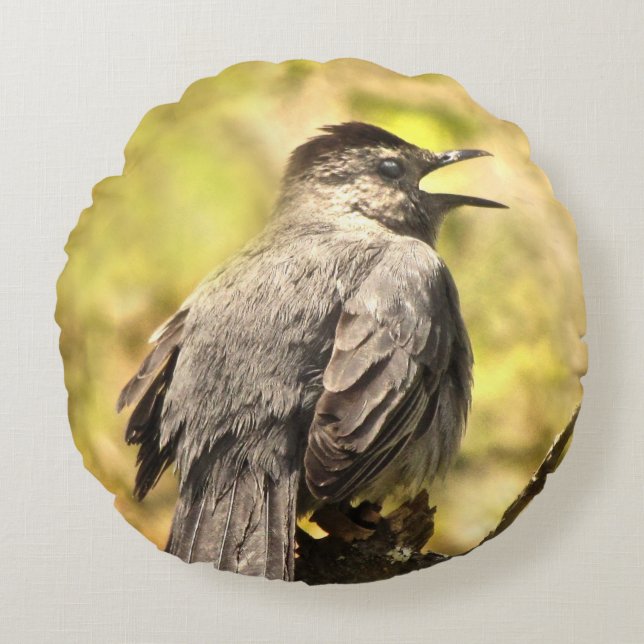 Gray Catbird Singing His Song Round Pillow (Front)