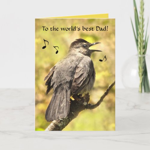 Gray Catbird Sings a Fathers Day Card