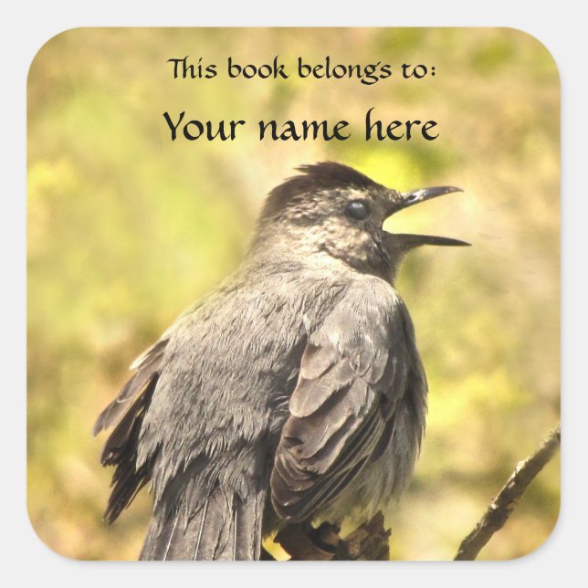 Gray Catbird Sings His Song Bookplate Sticker (Front)