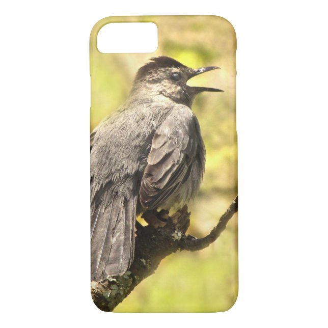 Gray Catbird Sings His Song iPhone 8/7 Case (Back)