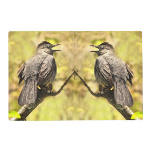 Gray Catbirds Sing Their Song Placemat