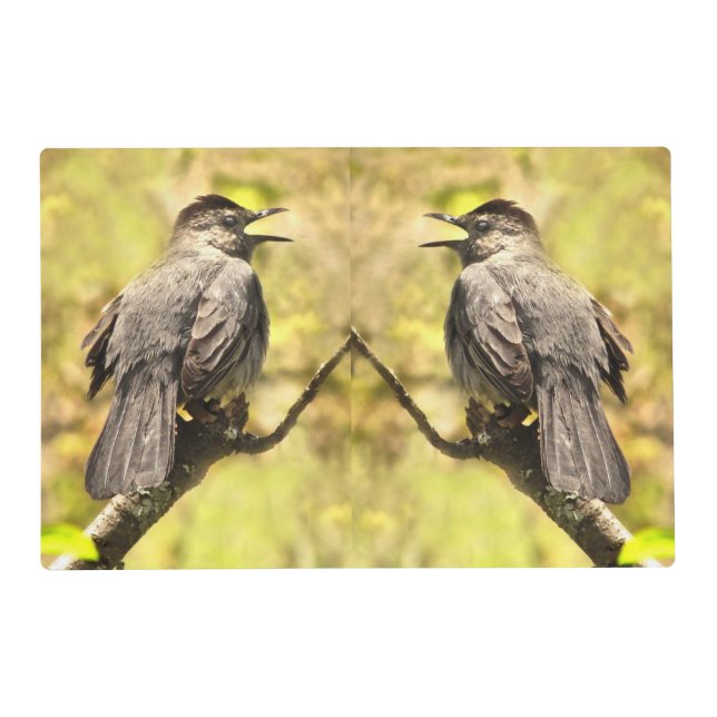 Gray Catbirds Sing Their Song Placemat (Front)
