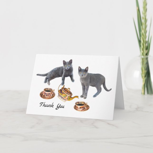 Gray Cats Having Tea Thank You Card (Front)