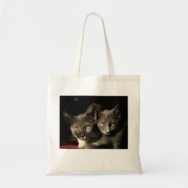 Gray Cats Photo Budget Tote Bag (Front)