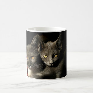Gray Cats Photo Mug