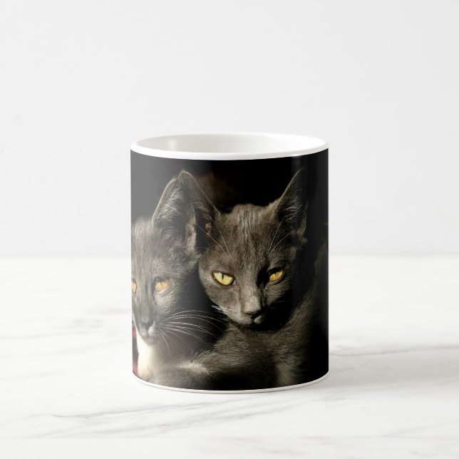 Gray Cats Photo Mug (Center)