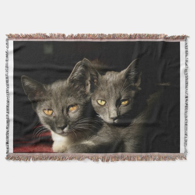 Gray Cats Photo Throw Blanket (Front)