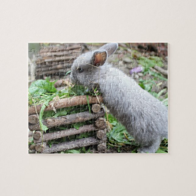 gray cheek Easter bunny 5 puzzles (Horizontal)