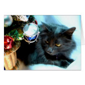 Gray Christmas Kitty II (Front Horizontal)