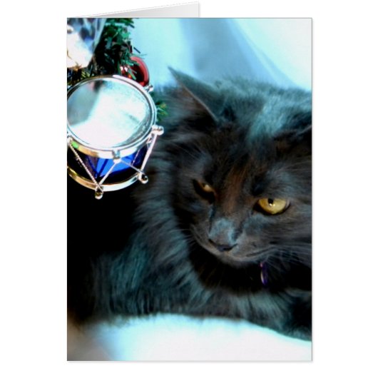 Gray Christmas Kitty II Cards (Front)