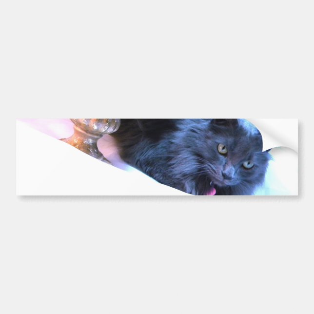 Gray Christmas Kitty III Bumper Sticker (Front)