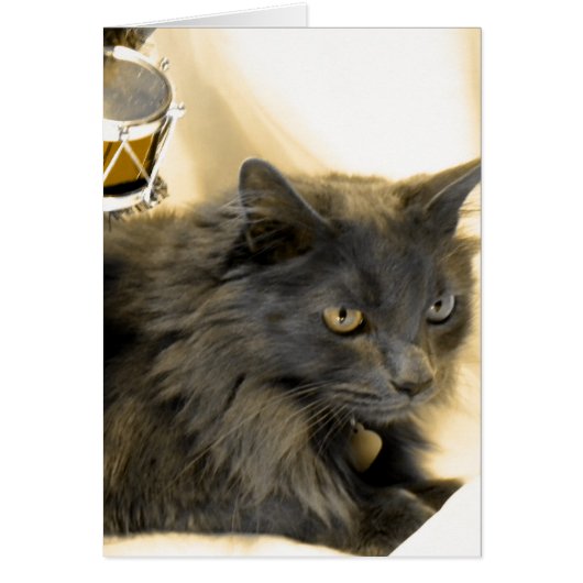 Gray Christmas Kitty IIII Cards (Front)