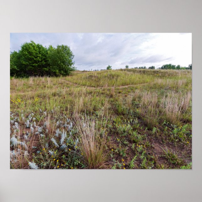 gray cloud dunes prairie landscape poster (Front)