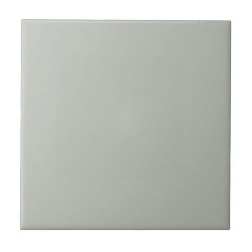 Gray Comfort Square Kitchen and Bathroom Ceramic Tile